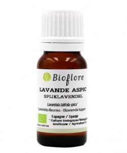 Spike Lavender (Lavandula latifolia spica) BIO, 50 ml
